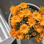 30412-odder-rylevej-86 Semesterbostad *