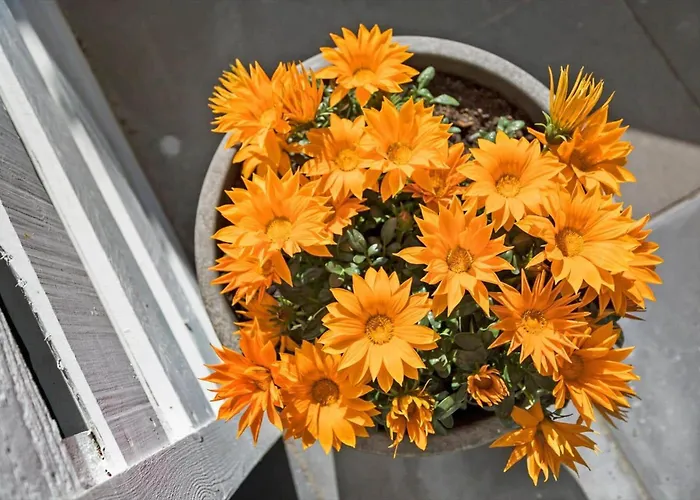 30412-odder-rylevej-86 בית נופש